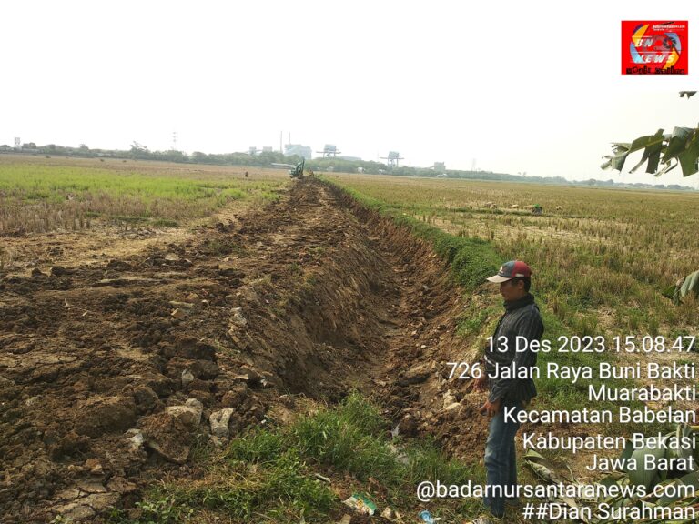 @badarnursantaranews.com