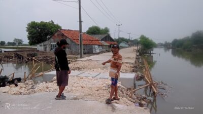 IMG20240704154336