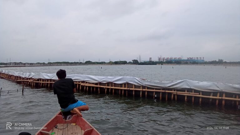 IMG-20240831-WA0043(1)