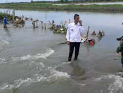 Tanggul Jebol DT 8 Desa Buni Bakti  200 ha Sawah Petani Tenggelam,Butuh Respon Cepat Pemkab 